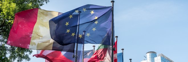 Cosa dovrebbe essere l'Unione Europea?